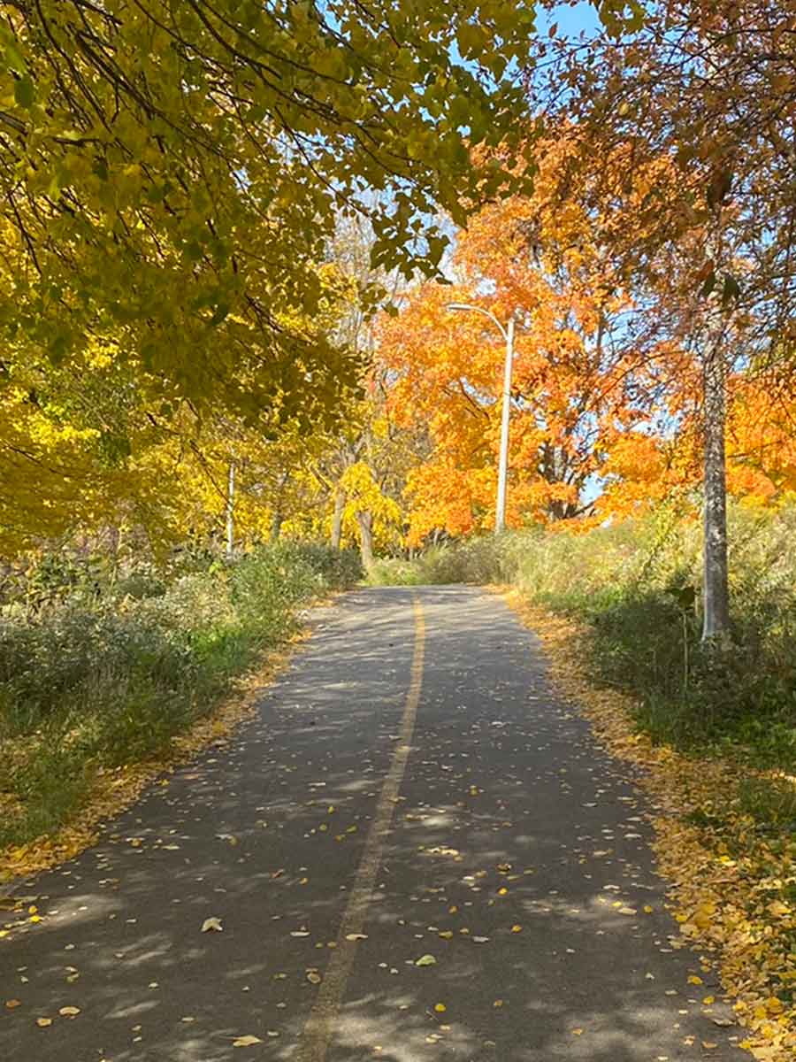 trail in the fall